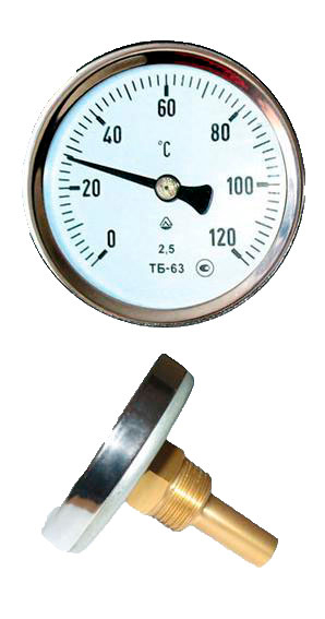 Термометр Watts